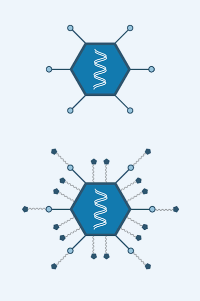 Vector Drug Conjugates – Improving Clinical Benefit & Tolerability